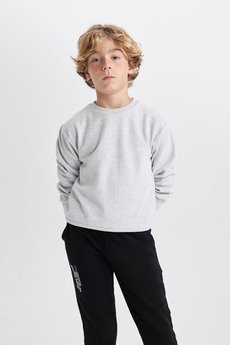 DeFacto Grey Boy Boy Crew Neck Selanik Fabric Basic Sweatshirt Casual - Image 3